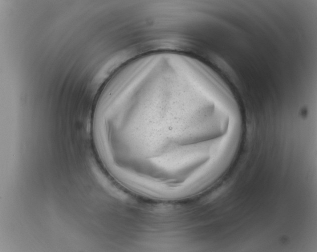X0000113940938200910161912