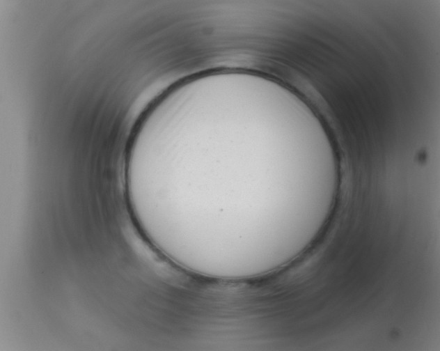X0000113940939200910161912