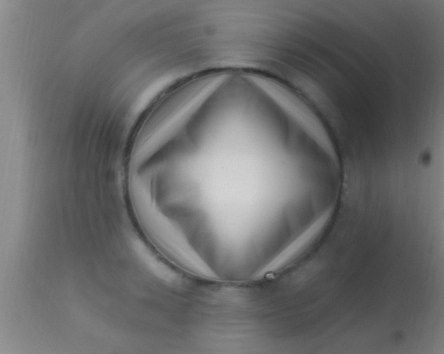 X0000113940942200910161912