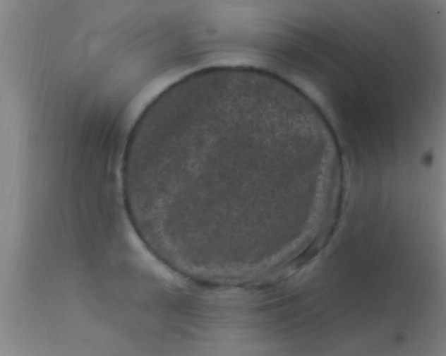 X0000113940943200910161912