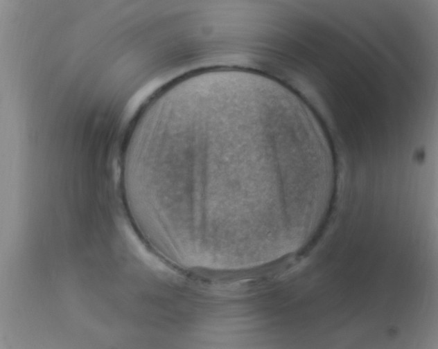X0000113940944200910161912