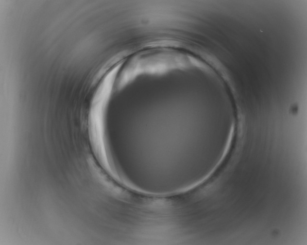 X0000113940945200910161912