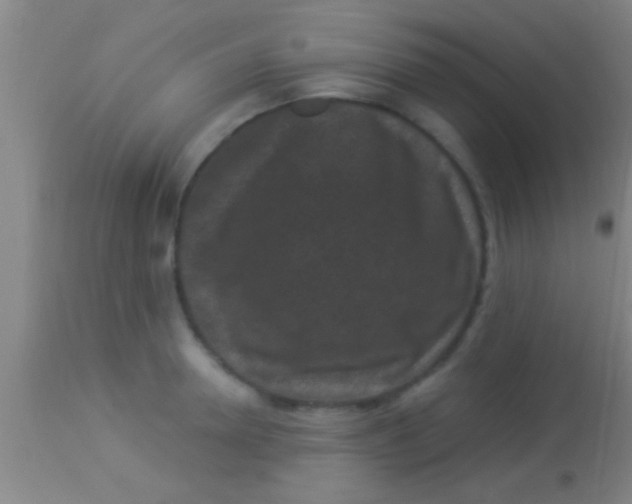 X0000113940946200910161912