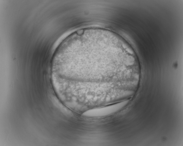 X0000113940948200910161912