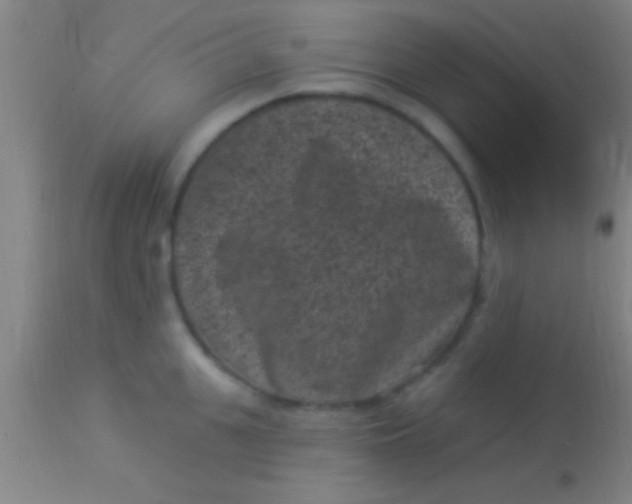 X0000113940951200910161912