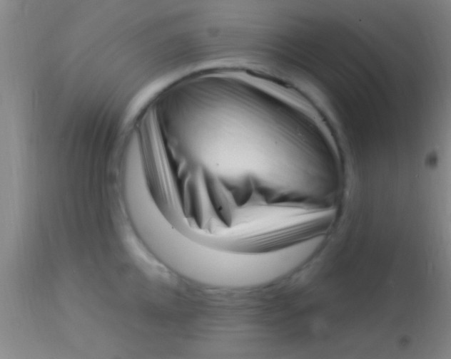 X0000113940952200910161912