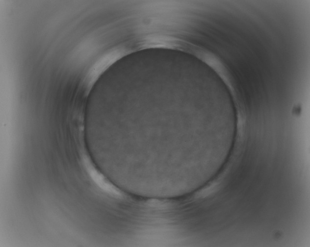 X0000113940954200910161912