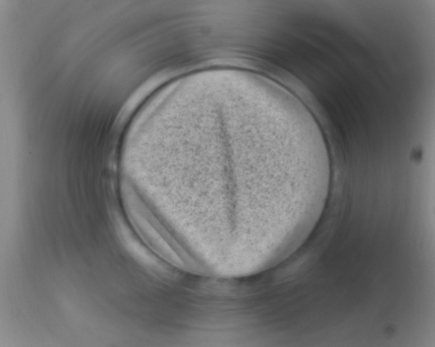 X0000113940955200910161912