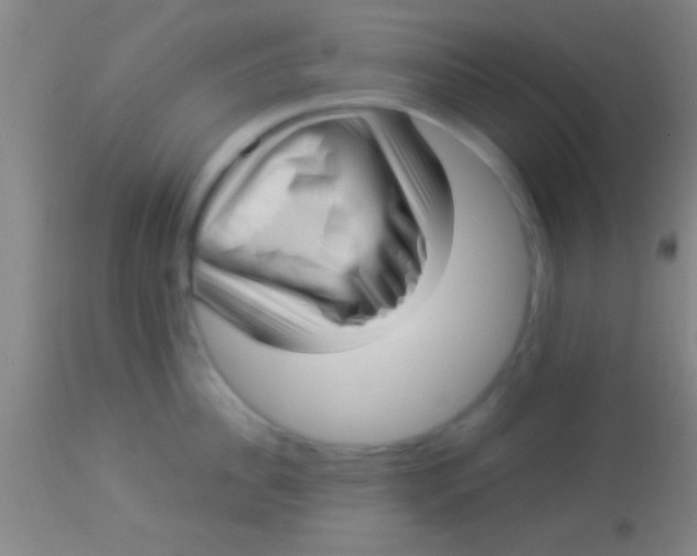 X0000113940956200910161912
