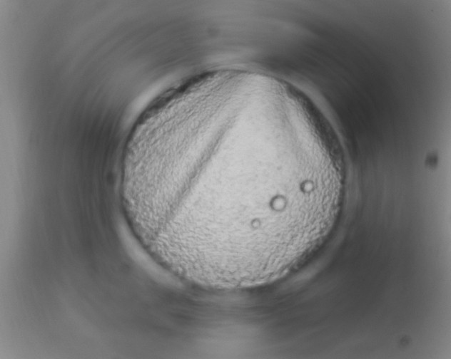 X0000113940957200910161912