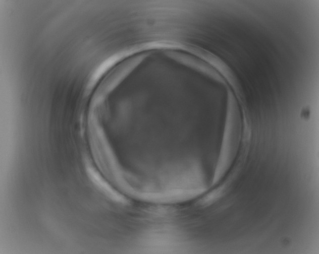 X0000113940958200910161912