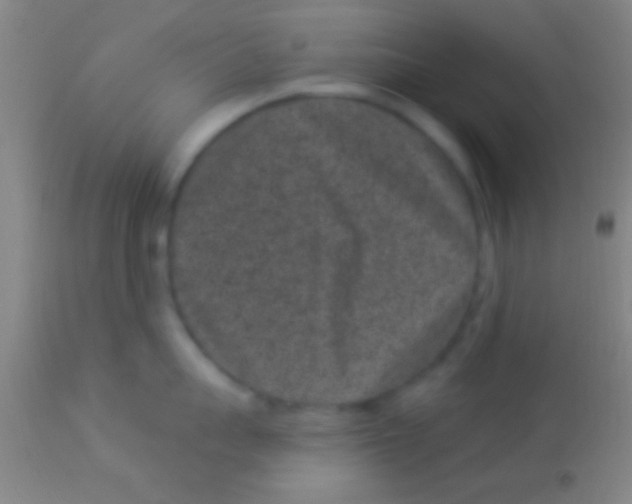 X0000113940959200910161912