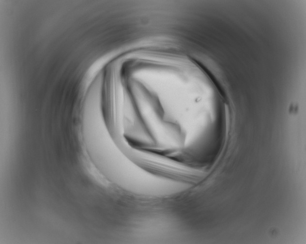 X0000113940960200910161912
