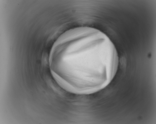 X0000113940963200910161911