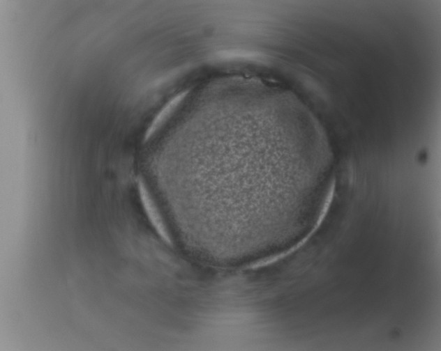 X0000113940965200910161911