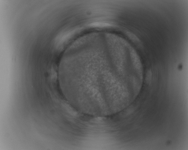 X0000113940966200910161911