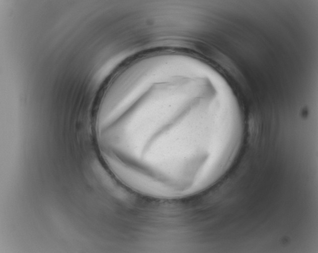 X0000113940972200910161911