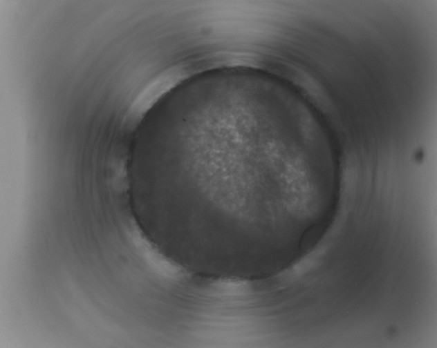 X0000113940977200910161911
