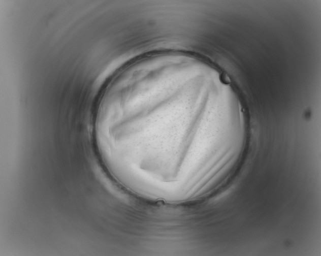 X0000113940981200910161911