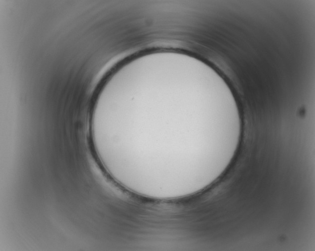 X0000113940984200910161911