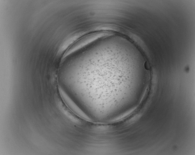 X0000113940985200910161911