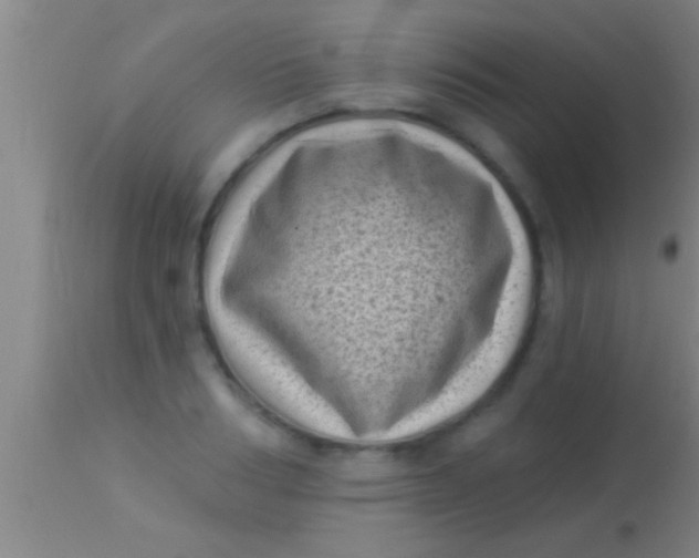 X0000113940986200910161911