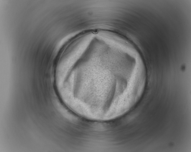 X0000113940987200910161911