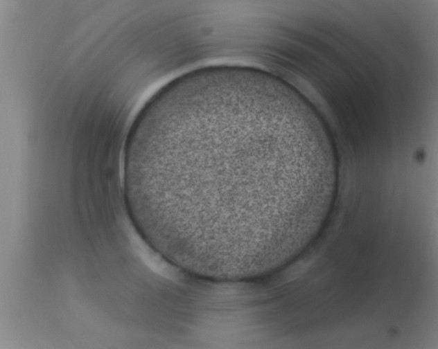 X0000113940988200910161911