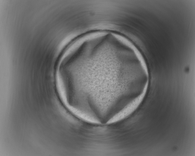 X0000113940990200910161911