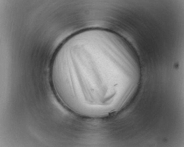X0000113940991200910161911