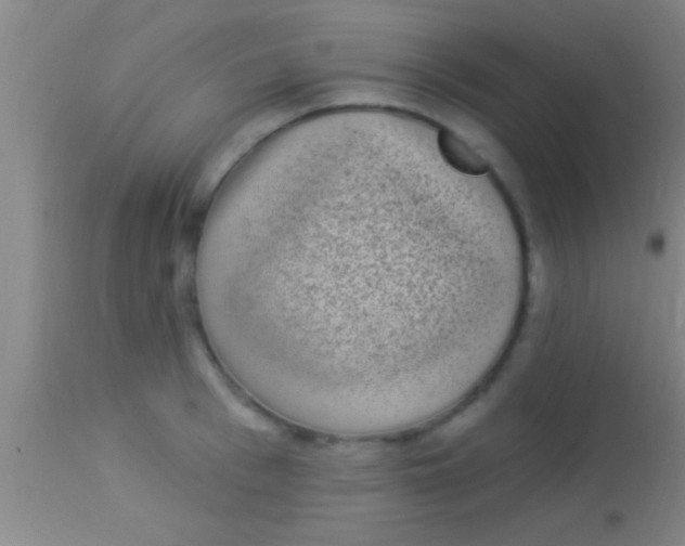 X0000113940993200910161911