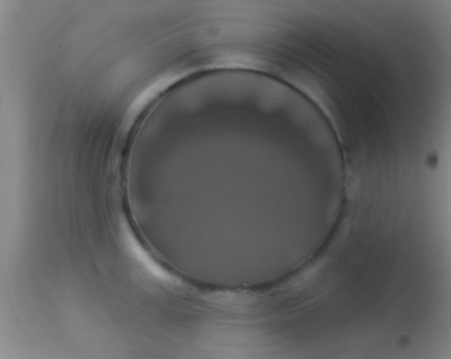 X0000113940995200910161911