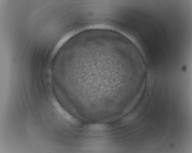 X0000113940998200910161911