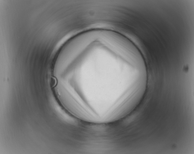 X0000113940999200910161911