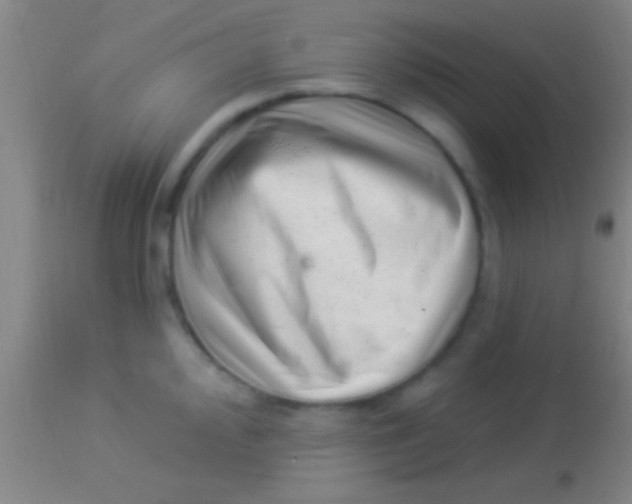 X0000113941000200910161910