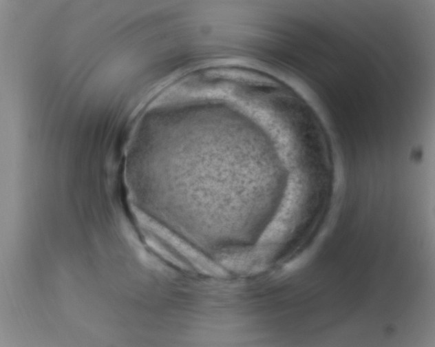 X0000113941001200910161910
