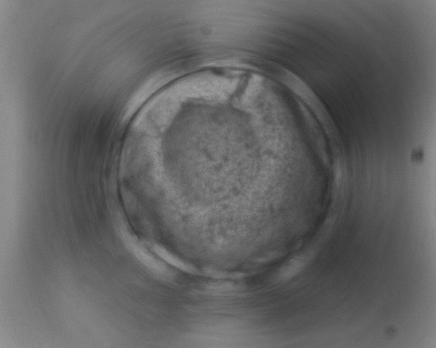 X0000113941002200910161910