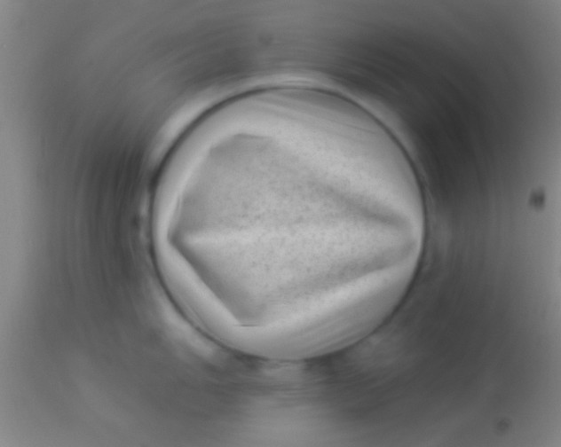 X0000113941006200910161910