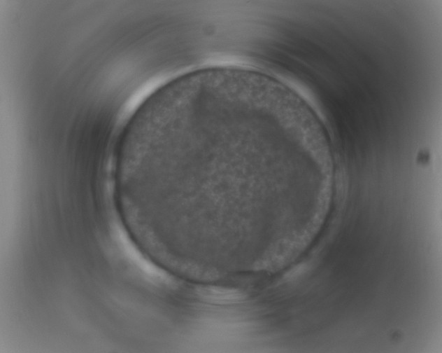 X0000113941007200910161910