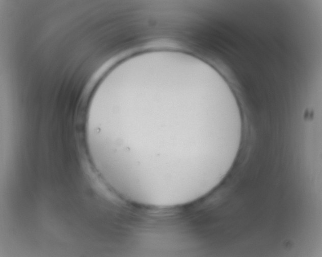 X0000113941008200910161910