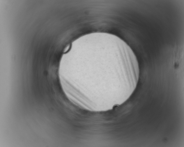 X0000113941010200910161910