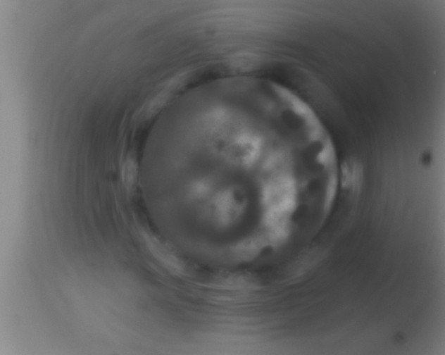 X0000113941011200910161910