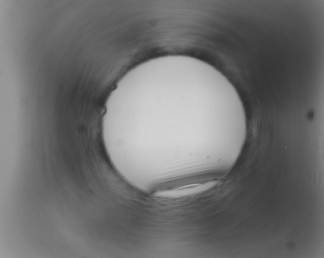 X0000113941012200910161910