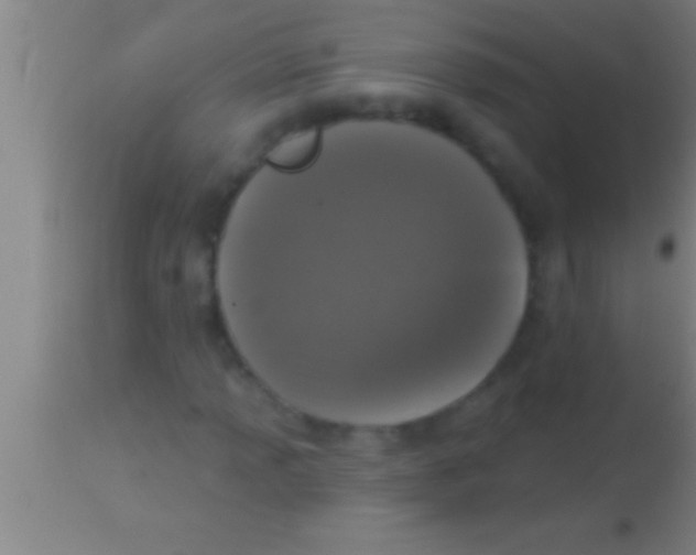 X0000113941013200910161910