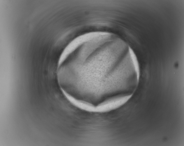 X0000113941014200910161910