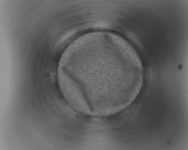 X0000113941015200910161910