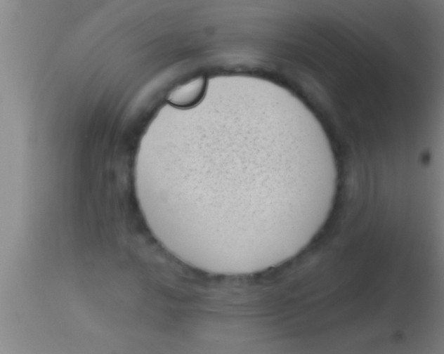 X0000113941016200910161910