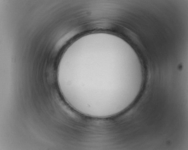 X0000113941018200910161910