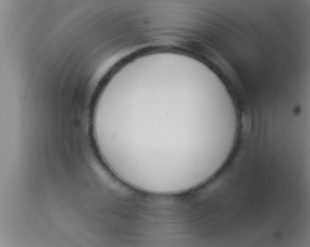 X0000113941020200910161910