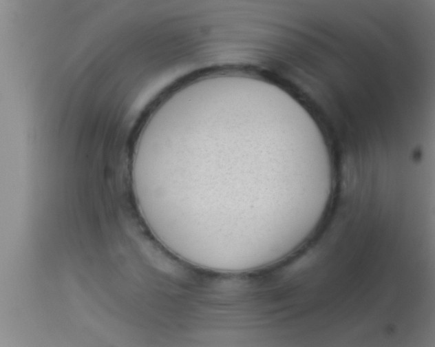 X0000113941021200910161910